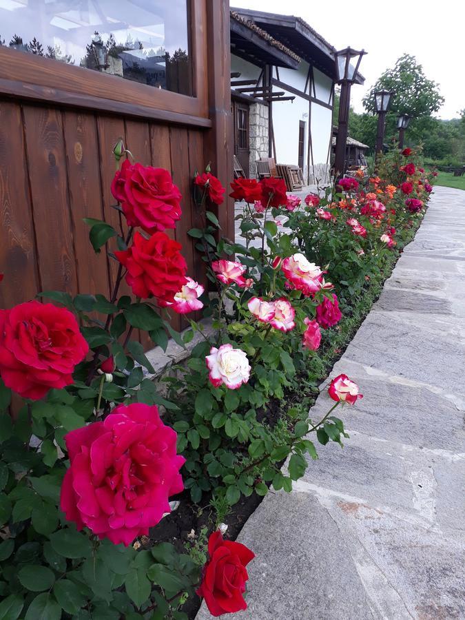 Complex Barite Otel Chernevo Dış mekan fotoğraf